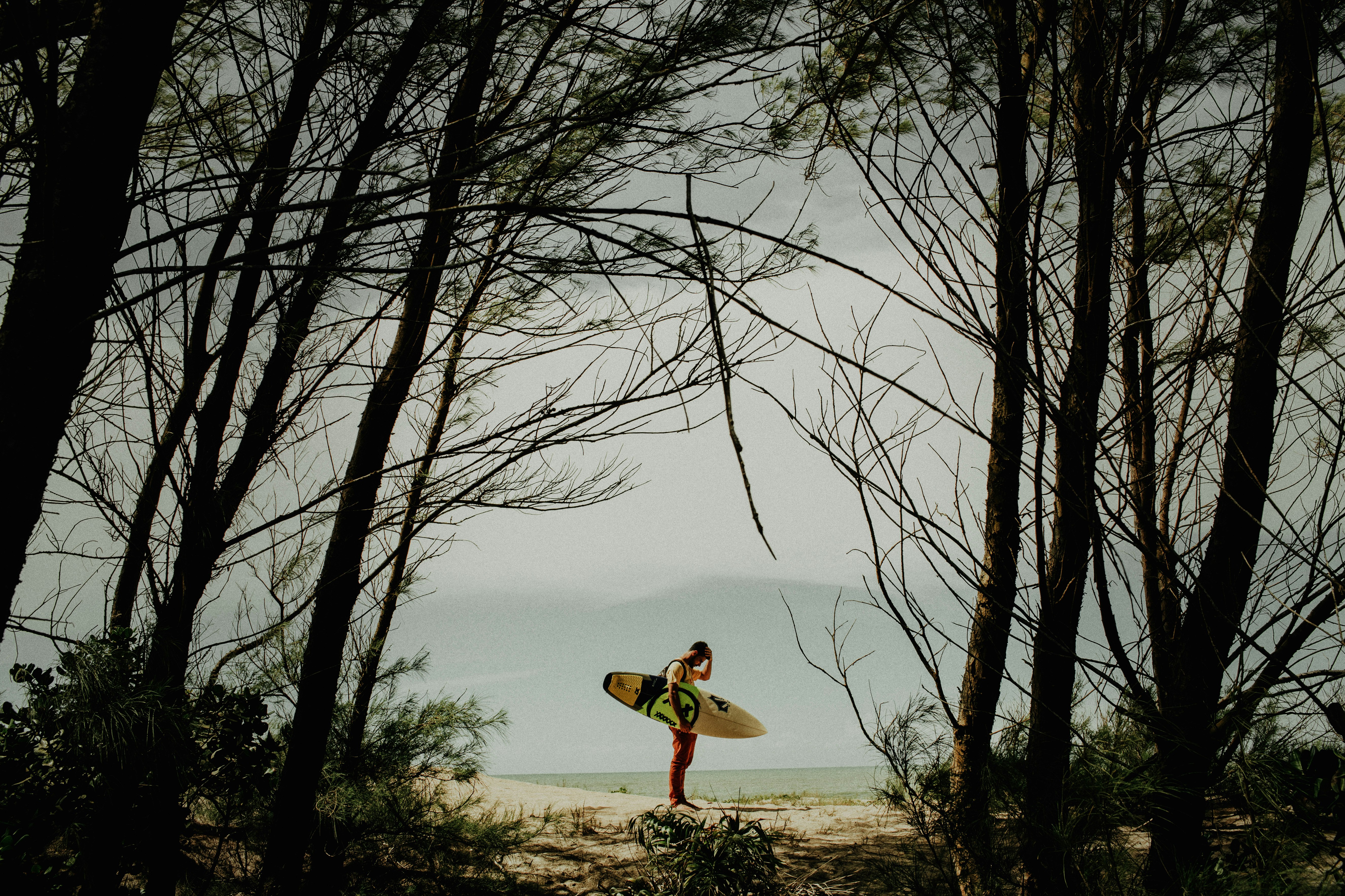 surfer holding his surfboard while standing between trees near beach